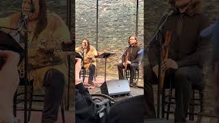 Bill Miller quotStone Treequot Live at The Michener Art Museum [upl. by Ives]