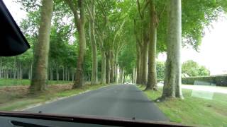 Trees Marching to the Château [upl. by Kal]