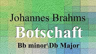 Botschaft  Johannes Brahms  accompaniment  Bb minorDb Major [upl. by Eileek927]