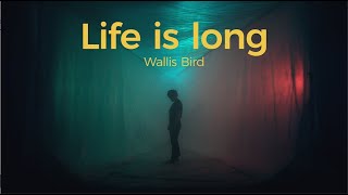 Wallis Bird  Life Is Long Official Video [upl. by Harrell24]