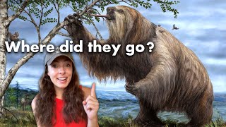 How Did Pleistocene Megafauna Go Extinct GEO GIRL [upl. by Emolas]