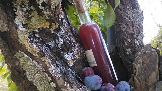 recette un digestif à base de prune  ROSEDUSOIR [upl. by Disharoon]