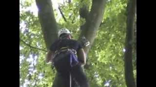 Tree Climbing  Baumklettern in Deutschland  T5 Geocaching [upl. by Cloutman]