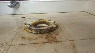 PVC TOILET FLANGE REPAIR [upl. by Erdnaid]