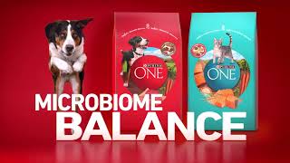 Purina ONE with Microbiome Balance [upl. by Eemyaj]