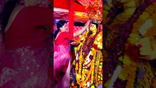 Jagadhatri Mata r Sindur khelayoutubeshorts trending yt viralshort [upl. by Caril]