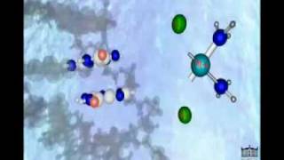 Cisplatin Mechanism of Action [upl. by Farr]