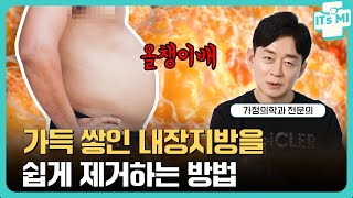 내장지방 올챙이배를 없애는 가장 현실적인 방법  다이어트 전문가 박용우 박사 EP16 [upl. by Annoeik]