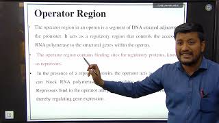 Lecture1 Concept Of Operon  Microbiology BSc III [upl. by Olivette]