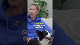 This Command Can Be CRITICAL In Dog Training [upl. by Ahsiem]