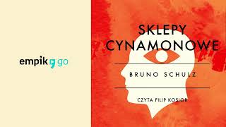 Lektura szkolna Sklepy cynamonowe  Bruno Schulz Audiobook PL [upl. by Ahsed]