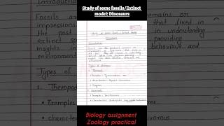 Dinosaurs Fossils Study  study of fossilsextinct models dinosaurszoologypaleontologypractical [upl. by Xeno]