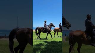 Police Horses in Cape Town [upl. by Leak]