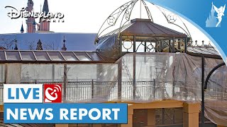 📣 Disneyland Paris Live News Report 24  25 November 2022 [upl. by Oiragelo332]