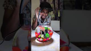 कैसा है👆 Aquarium Fish Bowl Setup 🤯😱shorts fish viralvideo trending aquarium [upl. by Pancho]