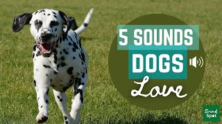 5 sounds to get you dogs attention  Sounds dogs and puppies love to hear [upl. by Ashli]