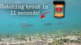 How to Catch Trout EASY [upl. by Hamish]