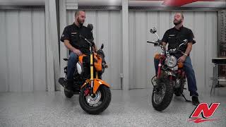 Honda Monkey vs Honda Grom [upl. by Jecho846]