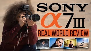 Sony a7 III Real World Review vs Sony a7R III Nikon D850 Canon 6D Mark II [upl. by Atsilac25]