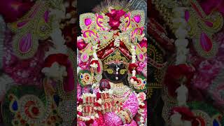 Jay Shree Radhe Krishn ❤️🧿 radheradhe radhavallabh radharaman bankebihari vrindavan krishna [upl. by Eanom]