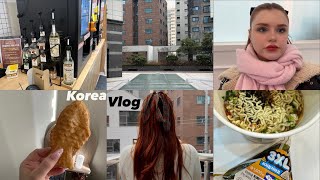 GÜLE GÜLE 2023 👋🏻 KORE VLOG EP 46🇰🇷 KAR ❄️KIŞ BOLCA İŞ 💪🏻 [upl. by Ekenna503]