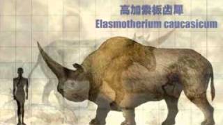 E is for Elasmotherium [upl. by Nilde]