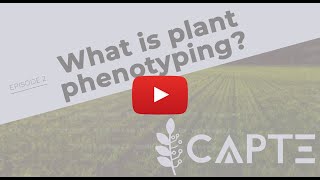 What is plant phenotyping [upl. by Valerlan]