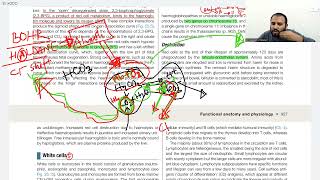 Bohr effects Haldane effects amp Chloride shift [upl. by Ahsekyw]