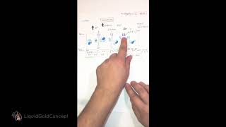 Part 3 How does the mammary gland switch from colostrum to breast milk production [upl. by Wenz]