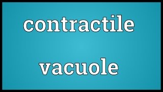 Contractile vacuole Meaning [upl. by Oludoet]