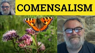 😎 Commensalism Meaning  Amensalism Defined  Symbiosis Examples  Mutualism Definition  Parasitism [upl. by Aivirt]