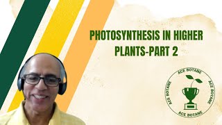 Photosynthesis in Higher Plants  Part 2  NCERT  Botany  Chapter 13 [upl. by Goldarina428]