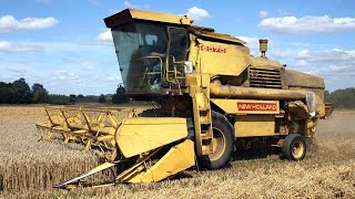 Classic 1982 New Holland Clayson 8070  Harvesting winter wheat [upl. by Nalat993]