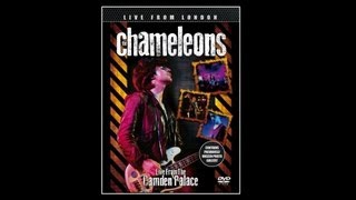 The Chameleons  Second Skin [upl. by Rekcut]