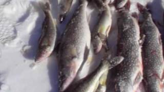 Fort Peck Ice Fishing  2009 [upl. by Shulem]