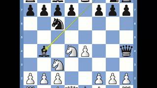 Chess Openings Scotch Game [upl. by Eelah]