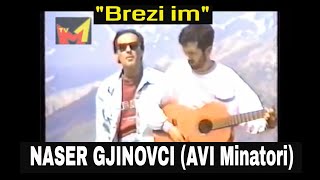 AVI Minatori amp Naser Gjinovci  Brrezi im [upl. by Ylicec258]