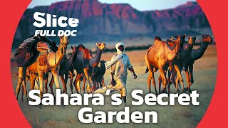 Ennedi Massif Discovering Chads Hidden Garden of Eden in the Sahara Desert  FULL DOCUMENTARY [upl. by Peyton68]