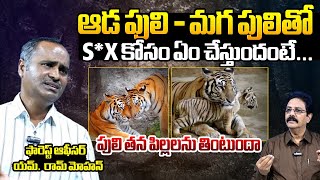 Forest Range Officer M Ram Mohan Exclusive Interview  Tigers Mating  Wild Animals  BTV [upl. by Pippas]