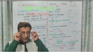 F SC Biology 11 Lecture Glycolysis EMP pathway [upl. by Aicinat]