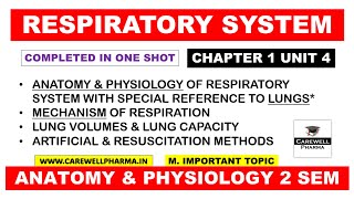 Unit 3 Respiratory System complete anatomy and physiology  Hap 2nd semester  Carewell Pharma [upl. by Jacinthe379]