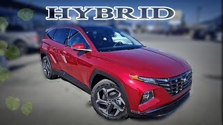 2023 Hyundai Tucson Luxury Hybrid Full Review and changes [upl. by Ayana458]