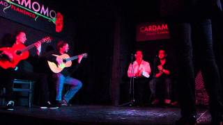 Flamenco from Madrid Tablao Cardamomo [upl. by Hudis]