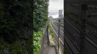 Strade carine a Tokyo🇯🇵Ortensie viaggioingiappone [upl. by Harli]