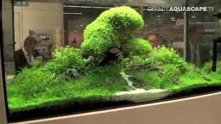 Aquarium ideas from InterZoo 2014 pt32  OASE GmbH [upl. by Oalsecnew792]