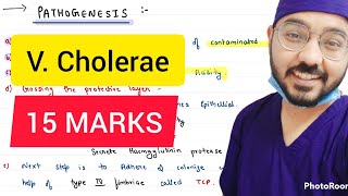 Vibrio Cholera  15 Marks  microbiology mbbs [upl. by Eidda]