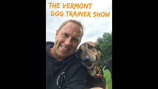 Your Dog amp Mental vs Physical Stimulation  Talking Dogs Radio Show [upl. by Decker]