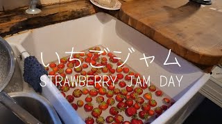 美味しいいちごジャムを作りましょう！ イギリスのいちごlets make yummy strawberry jam with English strawberries 🍓 [upl. by Grey195]