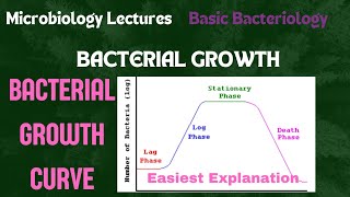 Bacterial Growth Curve Phases of Bacterial GrowthMicrobiology microbiology lecture growth [upl. by Sudnor]