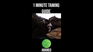 How To Tame An Araneo In 1 Minute shorts [upl. by Kristo721]